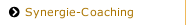    Synergie-Coaching
