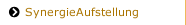 SynergieAufstellung