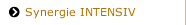 Synergie INTENSIV